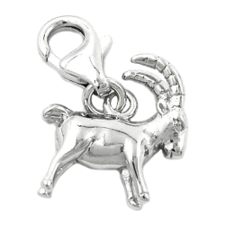 zodiac pendant, capricorn, silver 925
