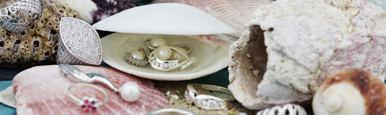 Silver and shells