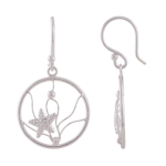 earrings, with starfish, silver 925 - 94196