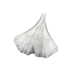 Pendant, Ginkgo Leaf, Silver 925