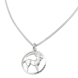Set zodiac capricorn + chain silver 925
