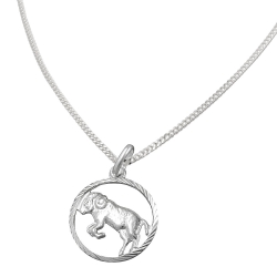 Set zodiac aries + chain silver 925