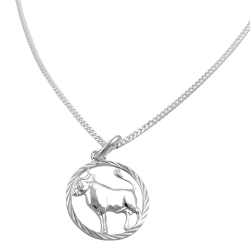 Set zodiac taurus + chain silver 925
